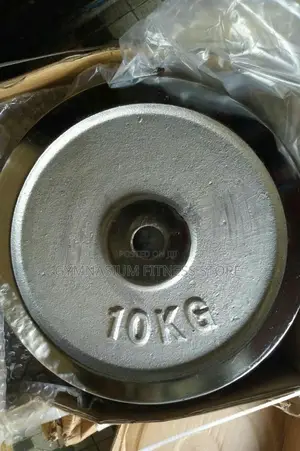 Weight Plate 10kg Pair 510
