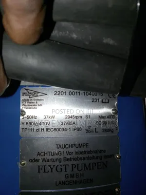 Flygt Pumpen