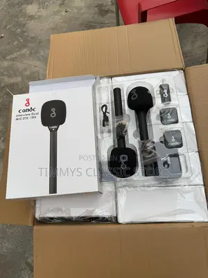 Original Dual Mic