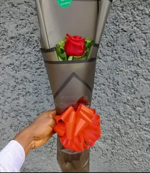 Natural Rose Flowers