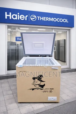 Original Inverter Brand New 150l Haire Thermocool Deep Freezer