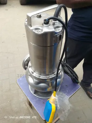 Ebara Sewage Pump