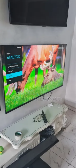 65 Inch Samsung Frameless
