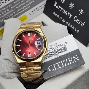 Top Quality Citizens Chain Watch