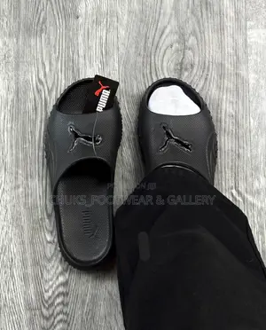 Puma Slide
