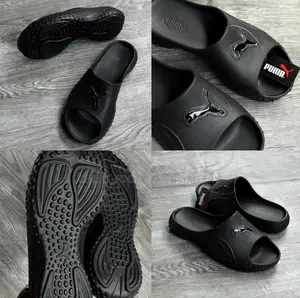 Puma Slide