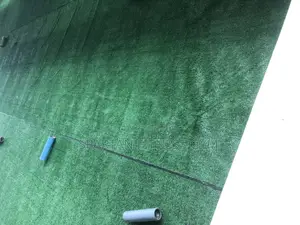 Artificial Grass