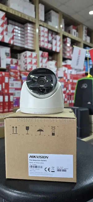 Hikvision Fire Detector Camera
