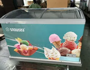 Ice-cream Display Chiller