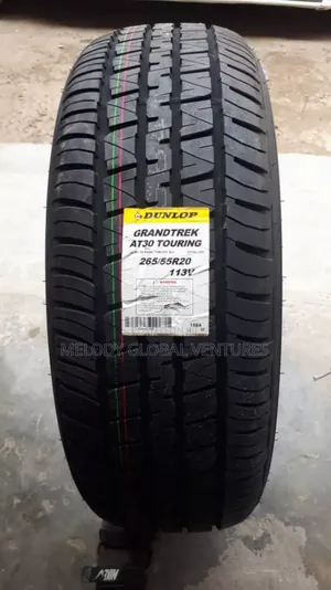 265/55r20 Dunlop Tyre