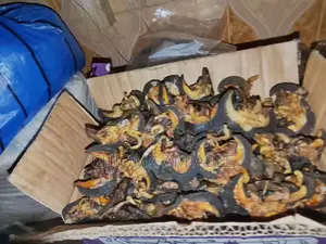 Well Dehydrated Snails