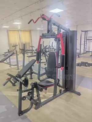 Vn125 America Fitness Multi Gym Single Station
