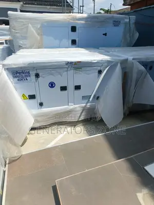 Perkins 40kva Power Diesel Generator With Acoustic Panel