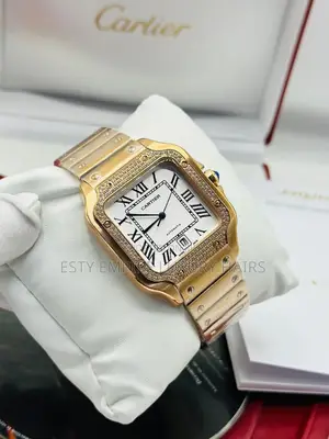 Automatic Cartier D Santos Watch With Stone Stainless Steel