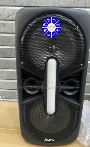 Ailipu Sp-3120d Portable Rechargeable Pa System.