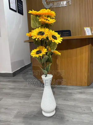 Sunflower Plant