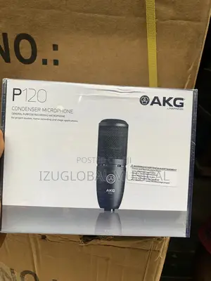 Akg P120 Condenser Microphone