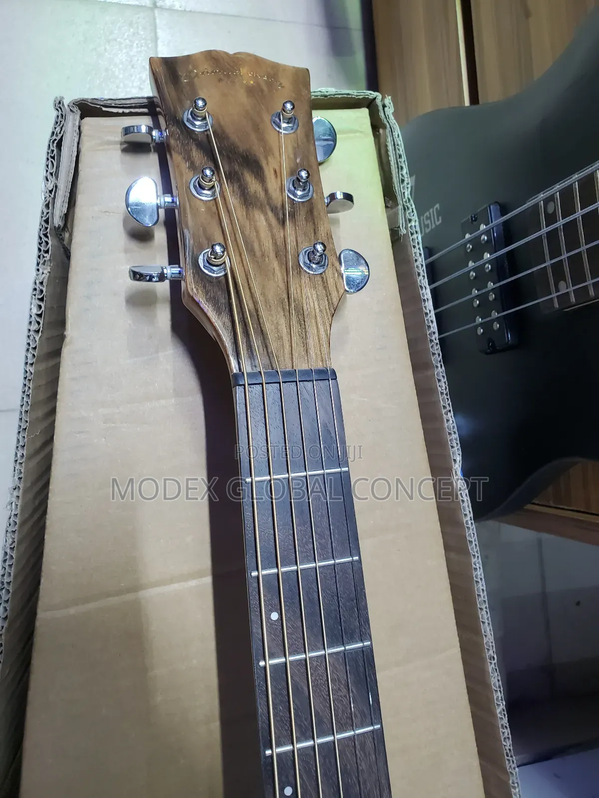 Acoustic Guitar