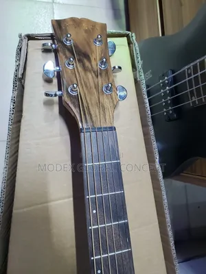 Acoustic Guitar