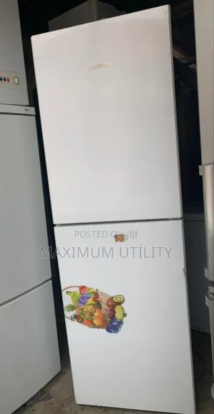 German Liebherr, Inverter Belgium 272 LTRS Fridge Factory Charged