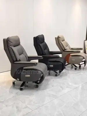 Executive Electric Chair