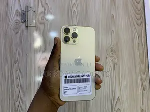 Apple iPhone 13 Pro Max 256 GB Gold