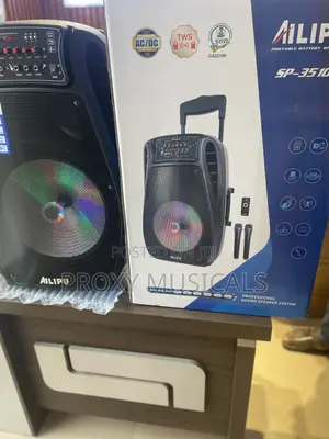Ailipu 15inch Rechargeable Pa System Wireless Microphones