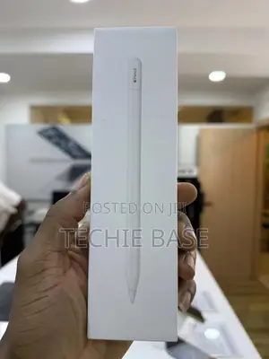 Apple Pencil (Usb-C)