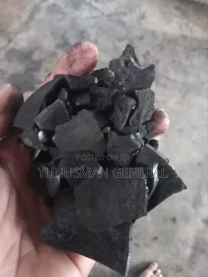 Coconut Shell