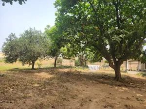 Fully Fenced and Gated 4000m2 Industrial Land at 7up Road for Sale