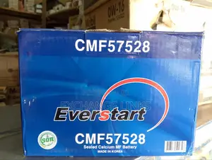75ah Everstart Car Battery