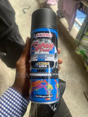 Accord Spray Paint