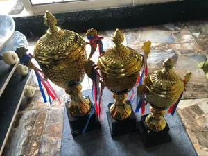 3 Set Of Tropy