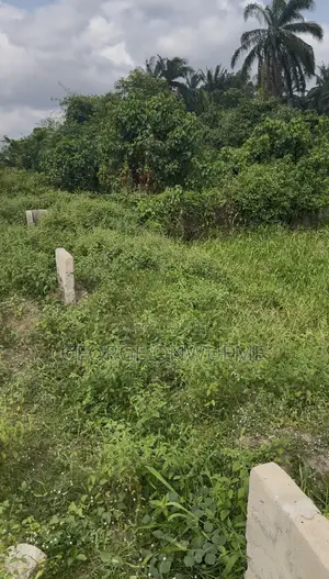 Land For Sale At Infant Jesus Asaba