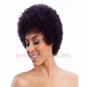 Afro Human Hair Wig - Black