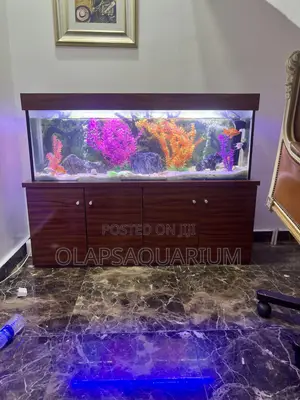 Aquarium Construction