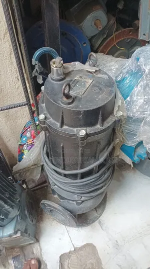 Sewage Pump 7.5kw 10hp