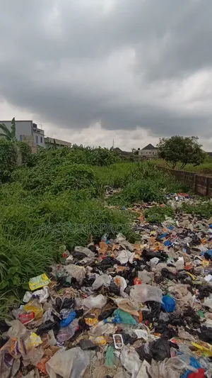 2 Plot Together on a Tarred Road