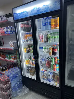 Double Chiller/Fridge