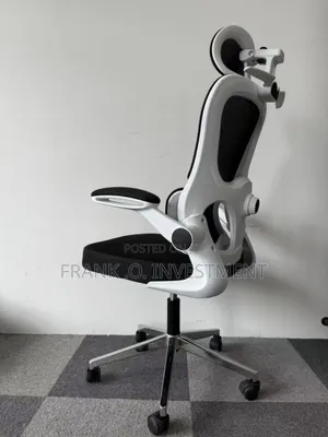 Egornomic Designed Office Chair With Lumbar Support