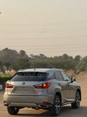 Lexus RX 350 2020 Gray
