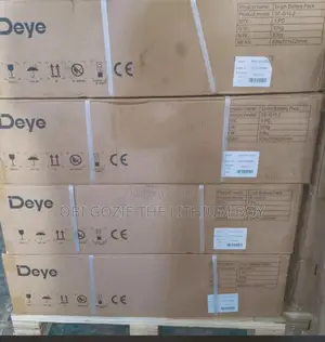 10kwh-51.2v Deye Solar Lithium Battery. Best Importer and Distributor