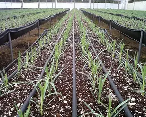 Drip Irrigation Service and Farm Construction, Consultation