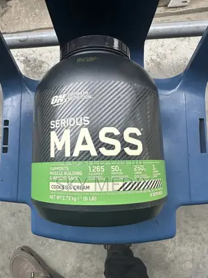 Optimum Nutrition Serious Mass Gainer