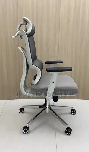 Ergonomic Office Chair