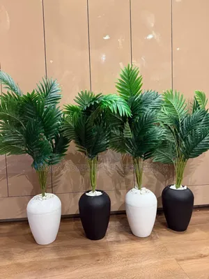 Medium Oval Potted With Palm 
Includes Pot Plant and Stone
