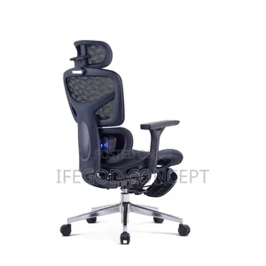 Executive Ergonomic Office Chair