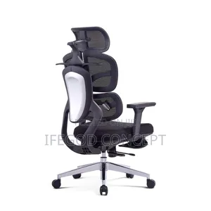 Boss Ergonomic Chair