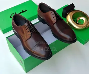 Clarks Men's Shoes