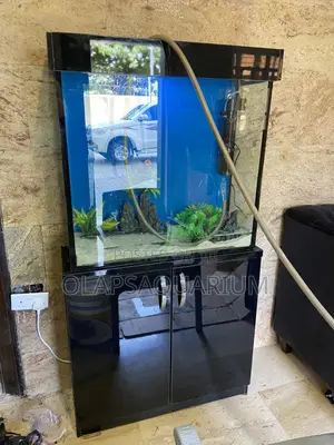 Aquarium and Fountain Construction